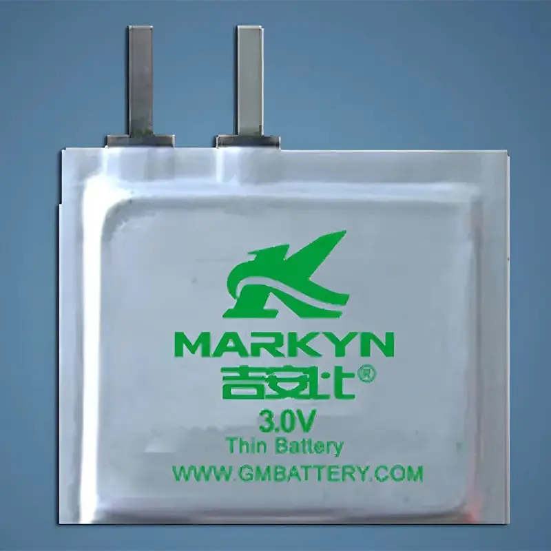 GMB lithium pouched Li/MnO2 batteries for trackers