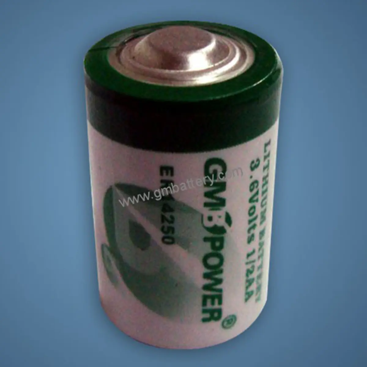 LISOCl2 Battery Energy Type (2)