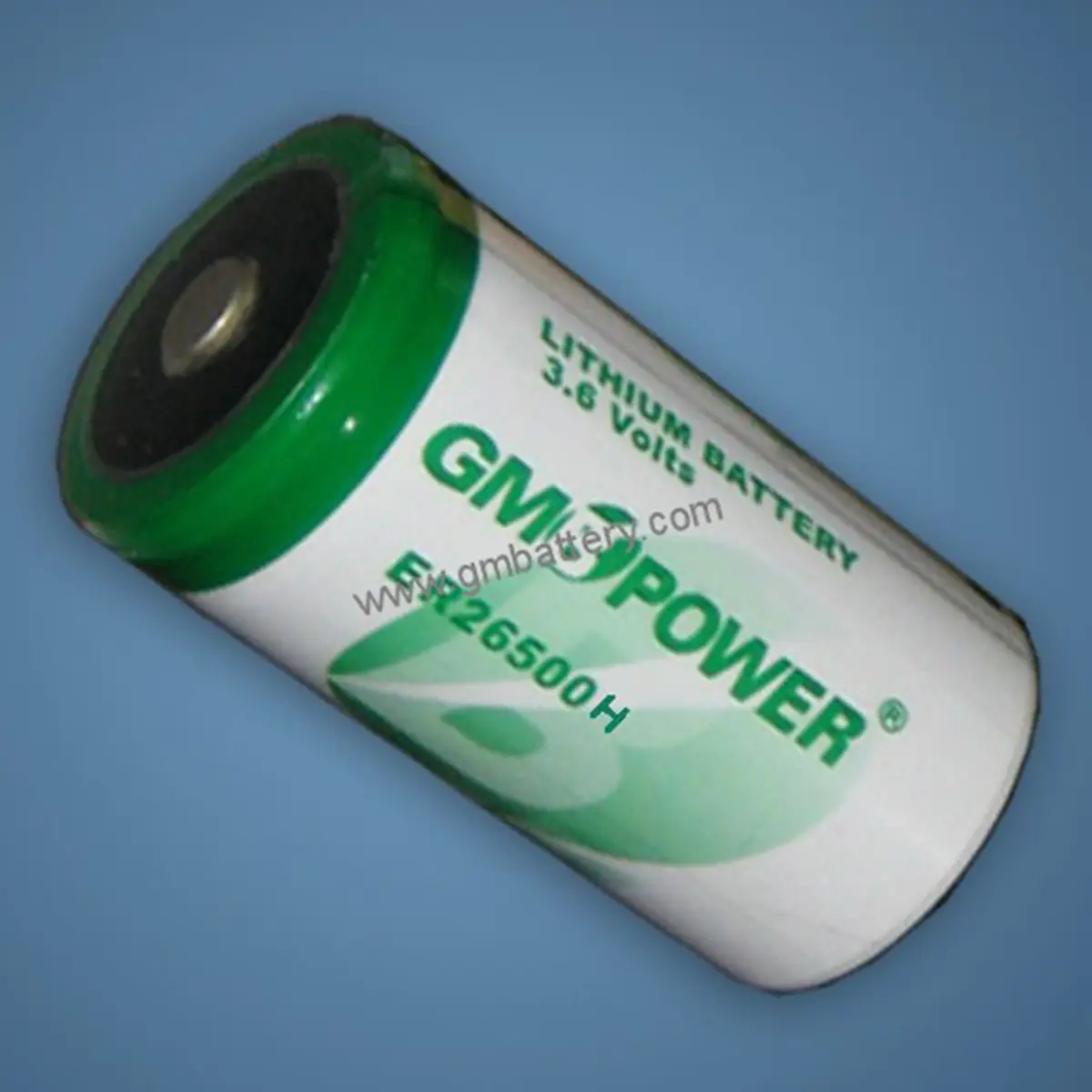 GMB LiSOCl2 (ER) Battery, 3.6V, Energy Type